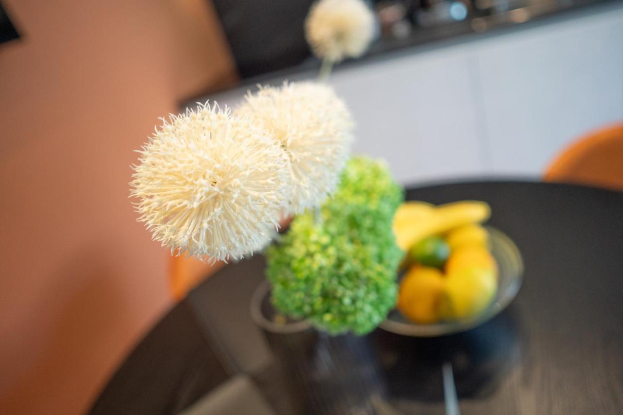 Prestige Studio Apartment 罗维尼 外观 照片